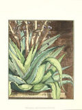 Graphic Aloe I Art