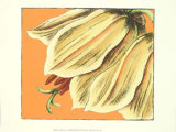 Imperiale I Prints by Nancy Slocum