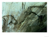 Horses, Rock Paintings in the Black Room, Magdalenian Giclee Print by Paleolithic 