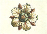 Rosette II Prints