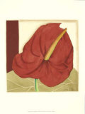 Anthurium Elegance I Láminas por Jennifer Goldberger