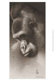 Robert L. Caldwell - Silver Back, the Gorilla - Reprodüksiyon Robert L. Caldwell - Silver Back, the Gorilla - Reprodüksiyon