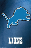 Detroit Lions Poster