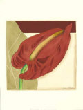 Anthurium Elegance III Arte por Jennifer Goldberger