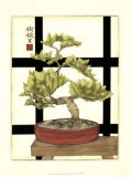 Zen Bonsai I Pósters por Jennifer Goldberger Zen Bonsai I Pósters por Jennifer Goldberger