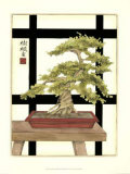 Zen Bonsai II Láminas por Jennifer Goldberger Zen Bonsai II Láminas por Jennifer Goldberger