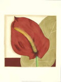 Anthurium Elegance II Pósters por Jennifer Goldberger