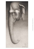 Toni el elefante Pósters por Robert L. Caldwell Toni el elefante Pósters por Robert L. Caldwell