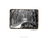 Promenade au jardin reproduction procédé giclée par Laura Denardo