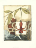 Secret Garden IV Lámina por Jennifer Goldberger Secret Garden IV Lámina por Jennifer Goldberger