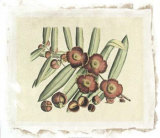 Botanisches Schaubild I Giclée-Druck von Van Rheet 