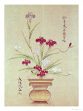Orchids Giclee Print