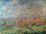 Spring, 1880-82 Reproduction procédé giclée par Claude Monet