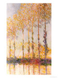 Poplars on the Banks of the Epte, 1891 Giclee Print by Claude Monet