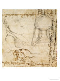 Page from a Sketchbook with Figure Studies and Notes Giclee Print by Michelangelo Buonarroti Page from a Sketchbook with Figure Studies and Notes Giclee Print by Michelangelo Buonarroti