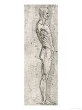 Anatomical Study Giclee Print by Leonardo da Vinci 