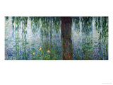 Waterlilies: Morning with Weeping Willows, Detail of the Left Section, 1915-26 Giclee Print by Claude Monet