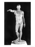 Flayed Body reproduction procédé giclée par Jean-Antoine Houdon