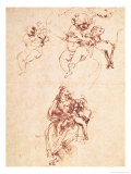 Study for the Virgin and Child with a Cat Giclee Print by Leonardo da Vinci 