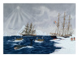 The Whaling, 19th Century Giclee Print by Gilbert Pajot