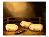 Three Prize Pigs Outside a Sty Giclee Print
