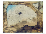 Vianden Through a Spider's Web Giclee Print by Victor Hugo