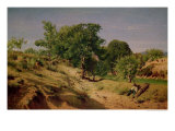 Rural Countryside Near Lasalle Giclee Print by Alexandre Eugene Castelnau