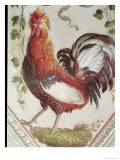 Detail of a Cockerel, Late 18th Century Giclee Print by Pietro Rotati