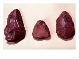 Flint Axe Heads Reproduction procédé giclée par Paleolithic 