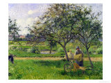 The Wheelbarrow, Orchard, circa 1881 reproduction procédé giclée par Camille Pissarro