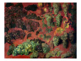 Still Life with Bunches of Grapes reproduction procédé giclée par Alexandre-Francois Desportes