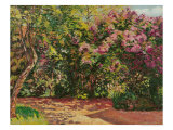 Lilac, the Artist's Garden reproduction procédé giclée par Armand Guillaumin