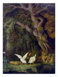 Foxes and Geese Giclee Print by Johann Heinrich Tischbein