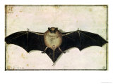 Bat, 1522 Giclée-Druck von Albrecht Dürer