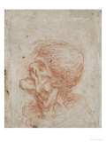 Caricature Head Study of an Old Man, circa 1500-05 Lámina giclée por Leonardo da Vinci Caricature Head Study of an Old Man, circa 1500-05 Lámina giclée por Leonardo da Vinci