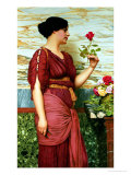 A Red, Red Rose Giclee Print by John William Godward