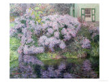 Hydrangeas on the Banks of the River Lys, 1898 Giclee Print by Emile Claus