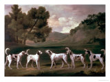 Foxhounds in a Landscape, 1762 Giclée-Druck von George Stubbs