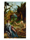 St. Anthony and St. Paul, Detail from the Isenheim Altarpiece, circa 1512-16 Giclee Print by Matthias Grünewald