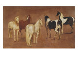 Study of Five Horses reproduction procédé giclée par Adam Frans van der Meulen