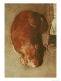 The Hurdy Gurdy Player with His Dog, circa 1620 Giclee Print by Georges de La Tour