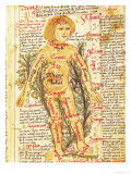 Influence of the Stars on Illnesses of the Human Body, from "Tractatus de Pestilencia" Reproduction procédé giclée par M. Albik