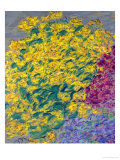 Flowers Giclee Print by Anna de Noailles
