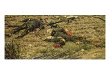 Episode of the War of 1870 Giclee Print by Alphonse Marie de Neuville