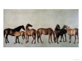 Mares and Foals Without a Background, circa 1762 Giclée-tryk af George Stubbs Mares and Foals Without a Background, circa 1762 Giclée-tryk af George Stubbs