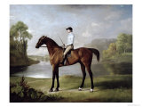 The Marquess of Rockingham's "Scrub", with John Singleton Up, 1762 Giclee Print by George Stubbs