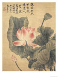 Pfingstrosen Giclée-Druck von Yun Shouping 