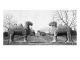 Sacred Path to the Tomb of the Ming Emperor Hongwu at Nanjing, China Giclee Print