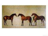 Whistlejacket and Two Other Stallions with Simon Cobb, the Groom, 1762 Giclee Print by George Stubbs