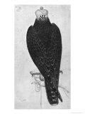 Hawk on Hand, Seen from Behind Giclee Print by Antonio Pisani Pisanello